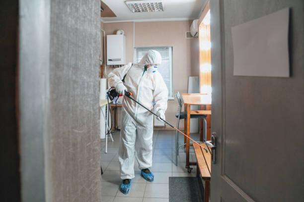 Reliable Elkhart, IN Mold Removal Solutions