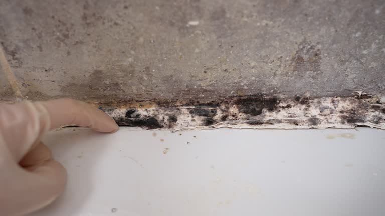 Best Indoor Air Quality Assessment  in Elkhart, IN